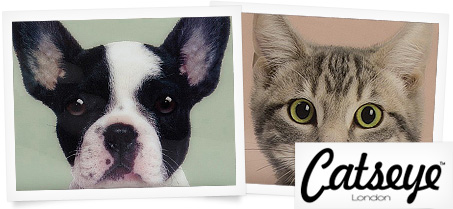 Catseye London - kitschiga necessärer, börsar m.m.| Bluebox.se