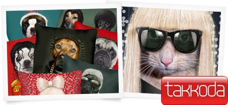 Takkoda, Pets Rock - Kändisar husdjur | Bluebox.se