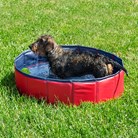 Hundpool - Pool för hund och andra husdjur