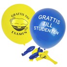 Studentballonger (10-pack)