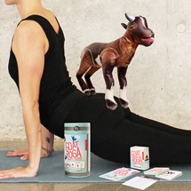 Goat Yoga - Partyspel