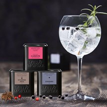 Gin & Tonic Set - Mixology, A Touch of Spice