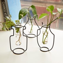Odlingsset - Vaser med glasrör (3-pack)