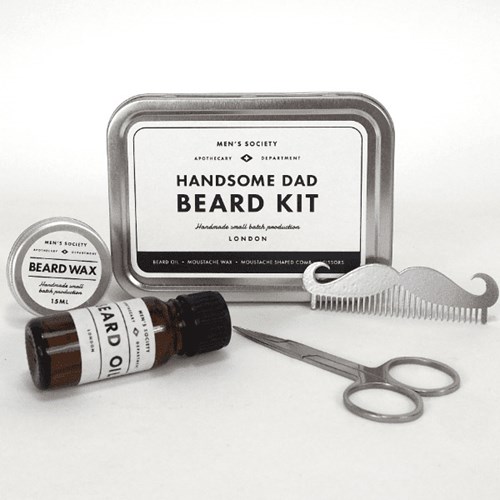 Handsome Dad Beard Kit, Silver