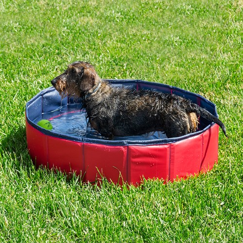 Hundpool - Pool för hund och andra husdjur, Röd